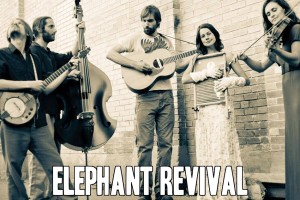 ElephantRevival